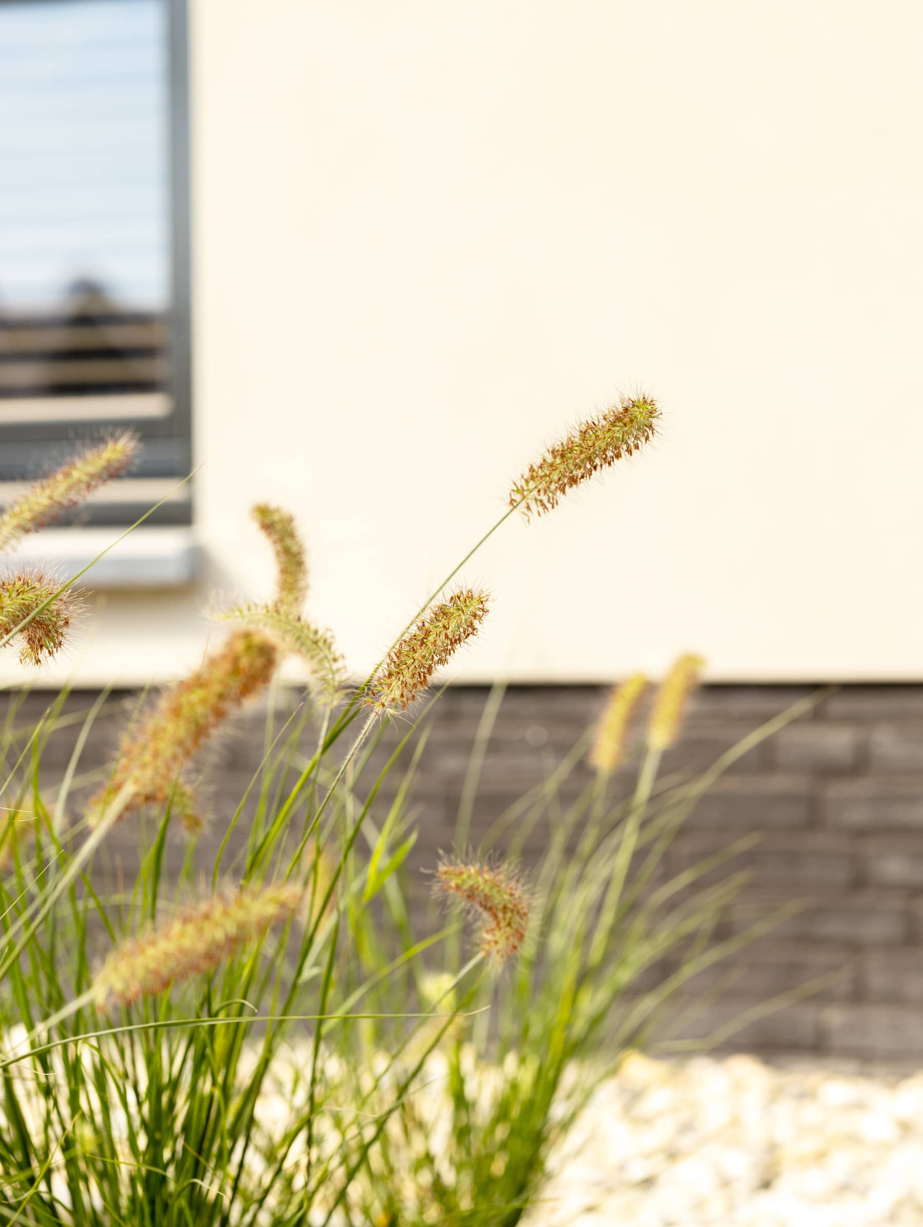 Nijhoff bouw | Waardenburg | Nieuwbouw | Rijsoord